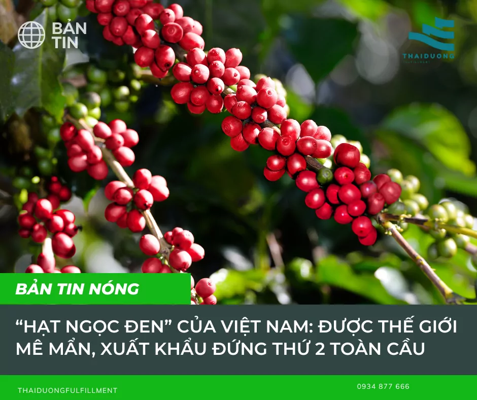  “Hạt ngọc đen” của Việt Nam: được thế giới mê mẩn, xuất khẩu đứng thứ 2 toàn cầu